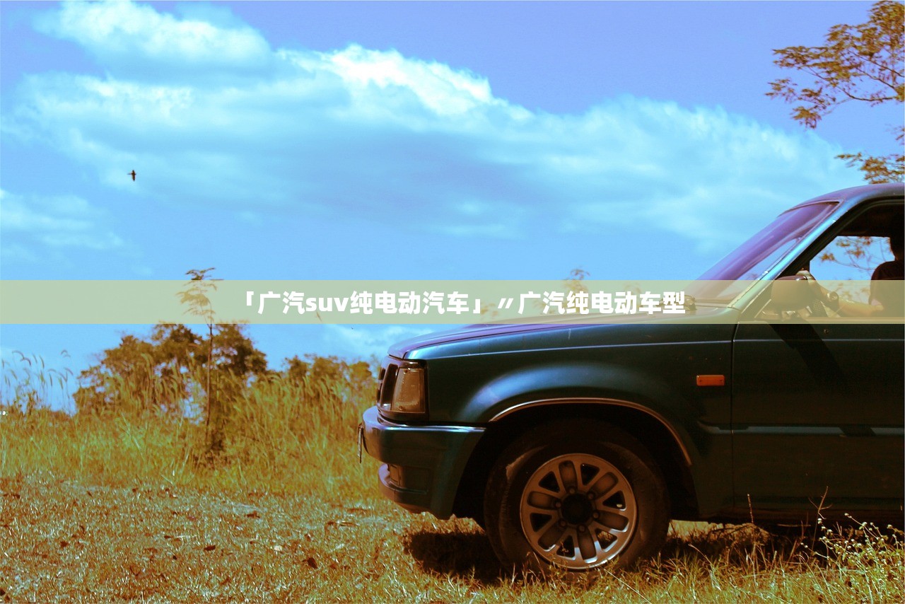 「广汽suv纯电动汽车」〃广汽纯电动车型