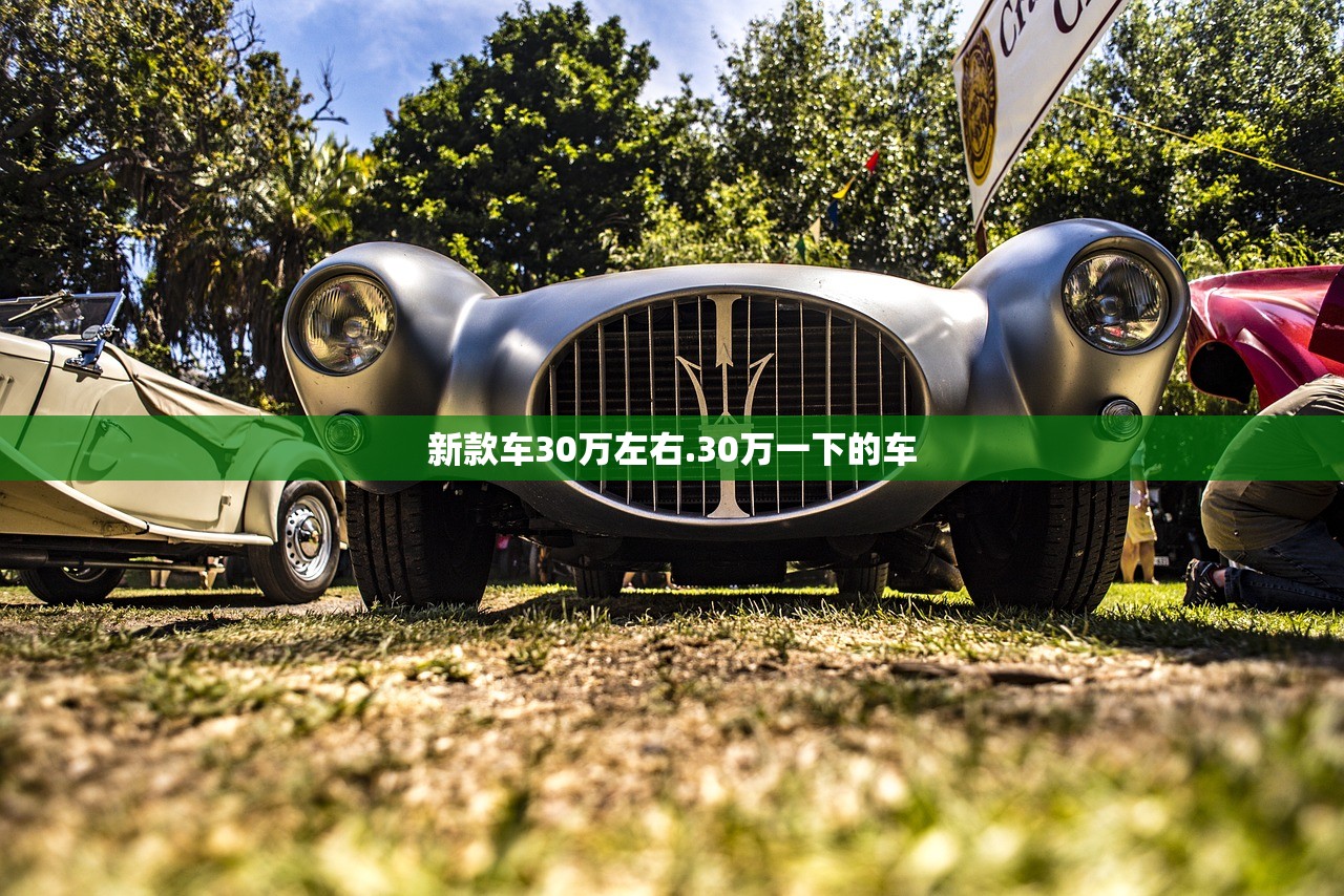 新款车30万左右.30万一下的车