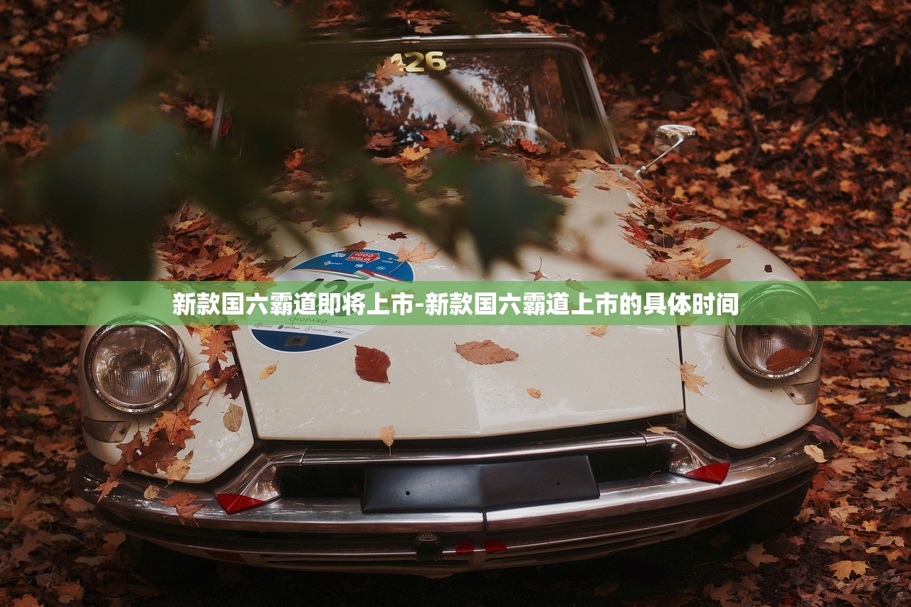新款国六霸道即将上市-新款国六霸道上市的具体时间