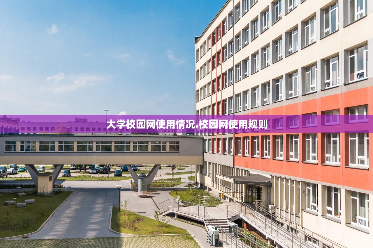 大学校园网使用情况.校园网使用规则