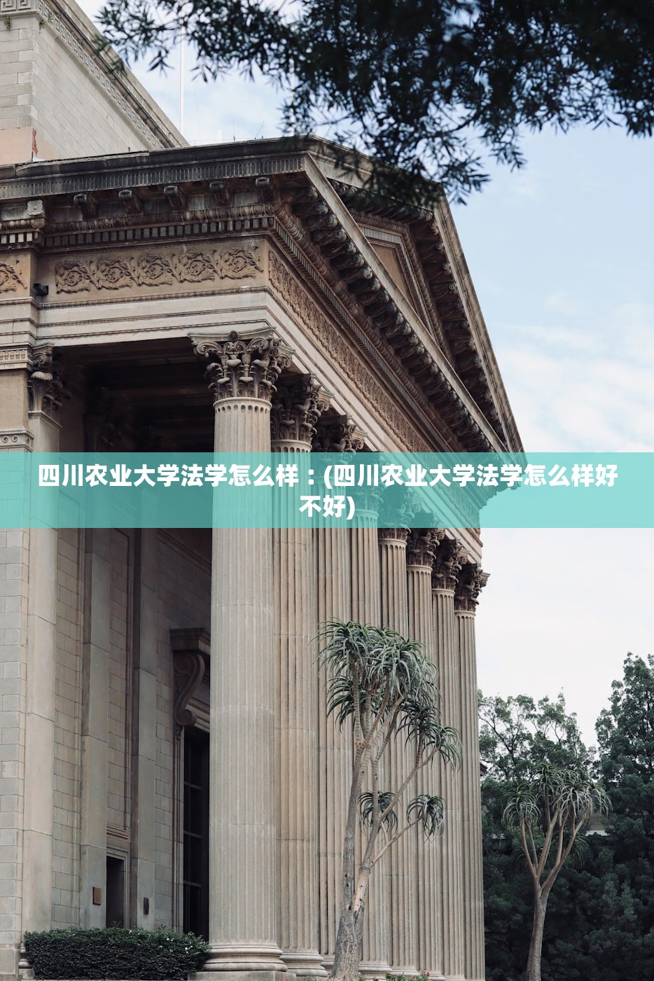 四川农业大学法学怎么样︰(四川农业大学法学怎么样好不好) 四川农业大学法学怎么样︰(四川农业大学法学怎么样好不好)