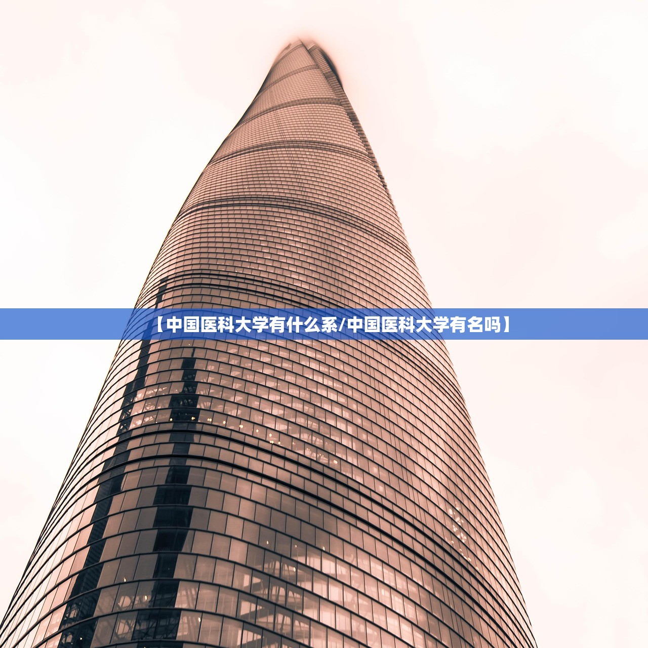 【中国医科大学有什么系/中国医科大学有名吗】