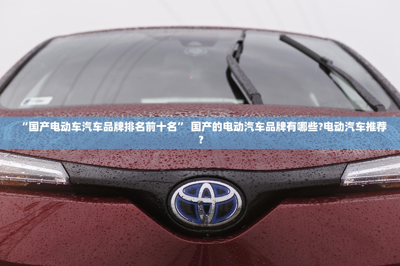“国产电动车汽车品牌排名前十名” 国产的电动汽车品牌有哪些?电动汽车推荐？
