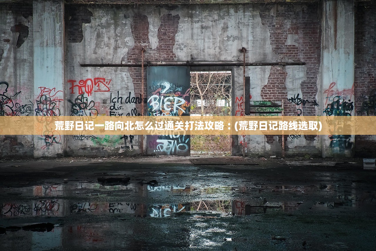 荒野日记一路向北怎么过通关打法攻略︰(荒野日记路线选取)