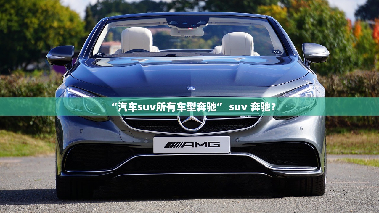 “汽车suv所有车型奔驰” suv 奔驰？
