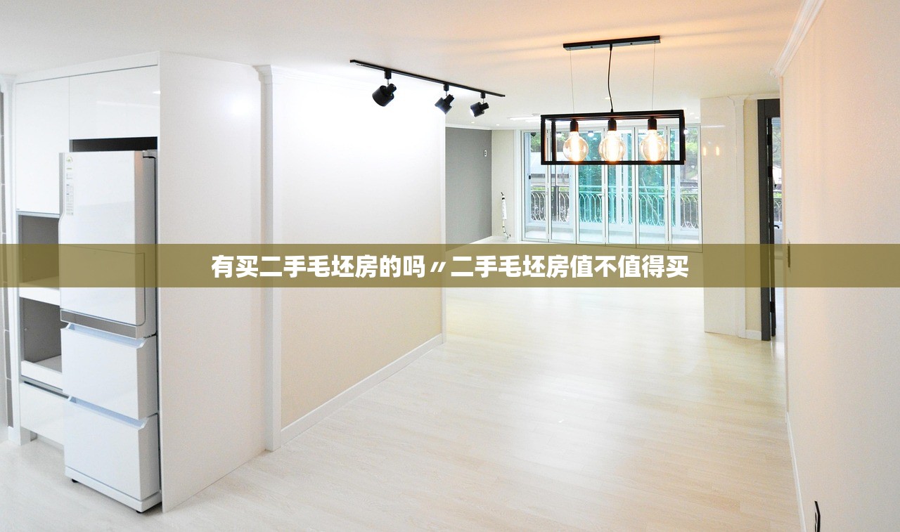 有买二手毛坯房的吗〃二手毛坯房值不值得买