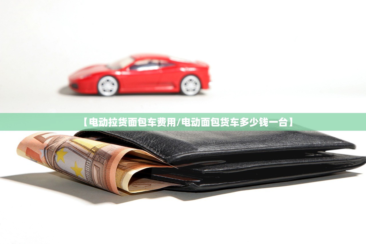 【电动拉货面包车费用/电动面包货车多少钱一台】