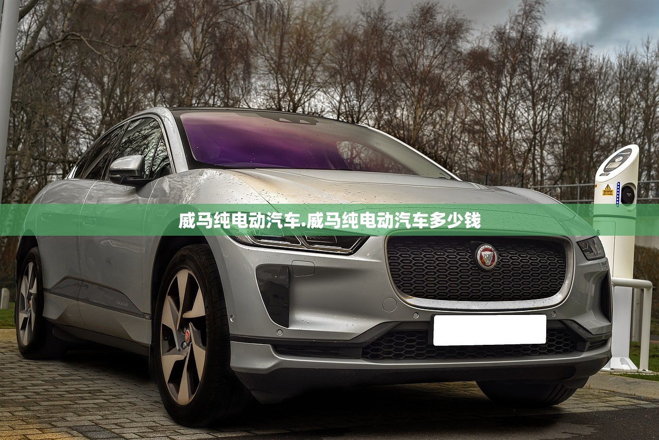威马纯电动汽车.威马纯电动汽车多少钱