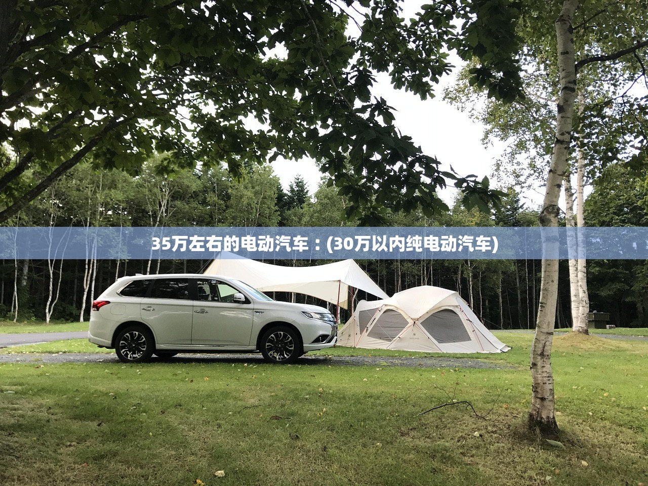 35万左右的电动汽车︰(30万以内纯电动汽车)