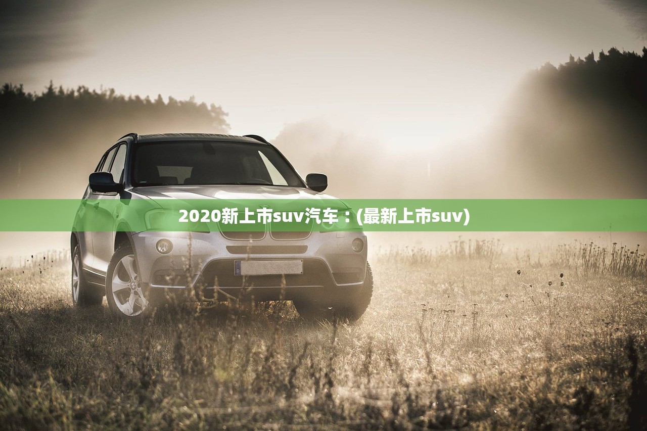2020新上市suv汽车︰(最新上市suv)