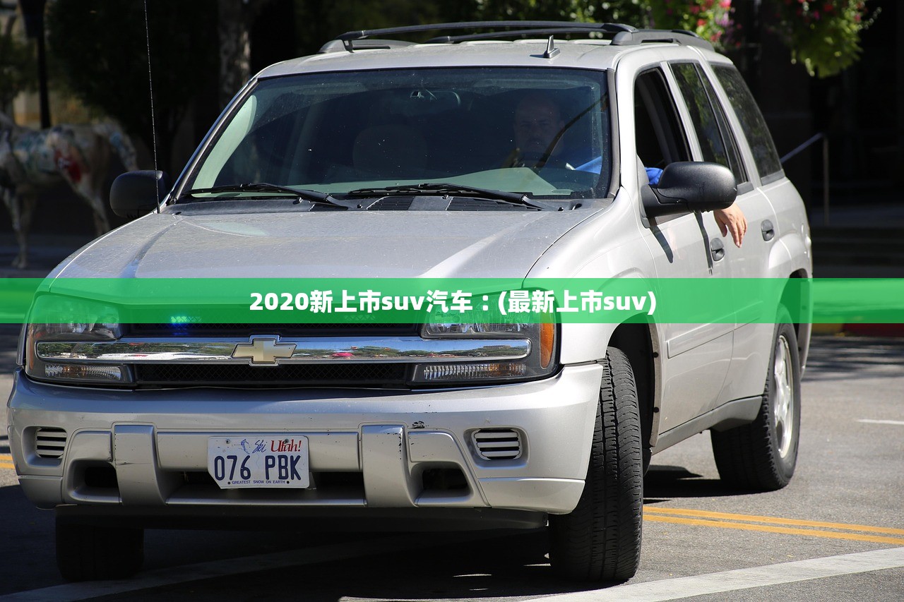 2020新上市suv汽车︰(最新上市suv)