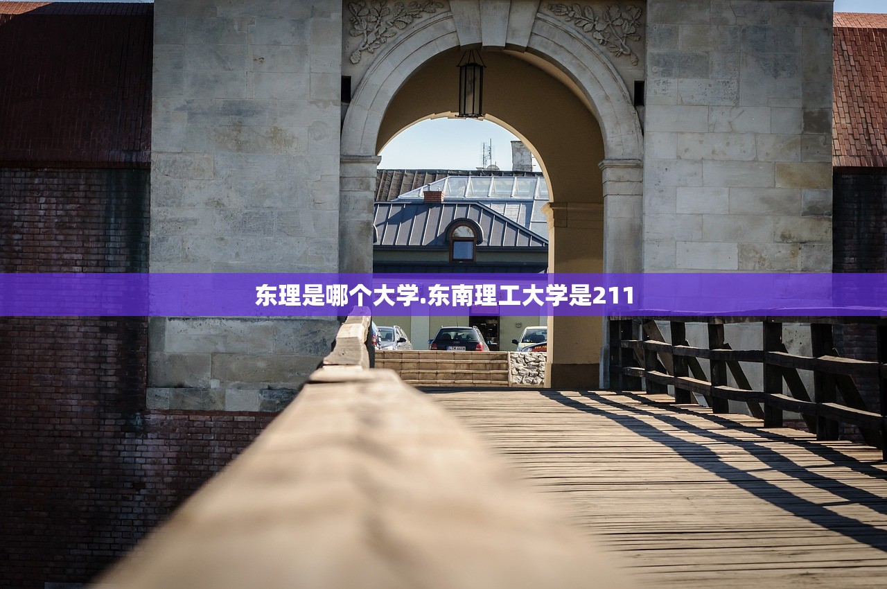 东理是哪个大学.东南理工大学是211