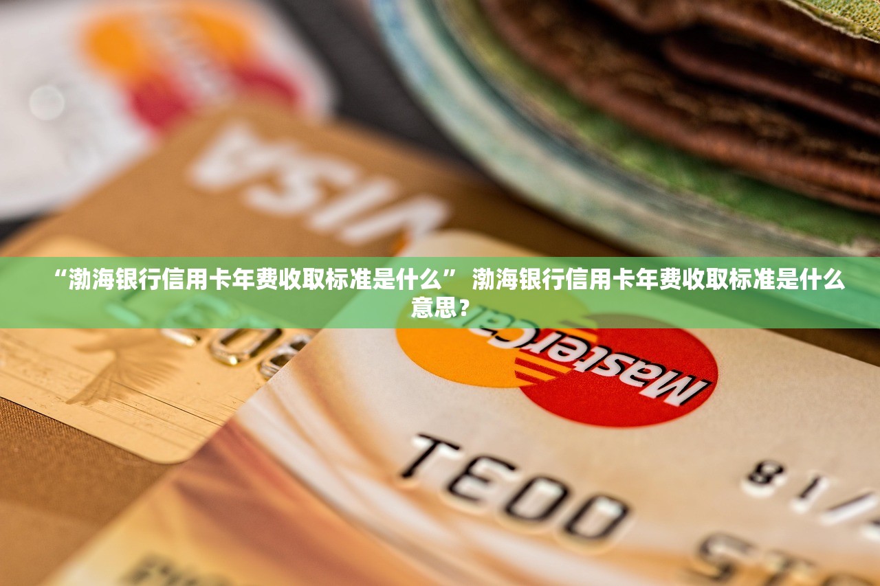 “渤海银行信用卡年费收取标准是什么” 渤海银行信用卡年费收取标准是什么意思？
