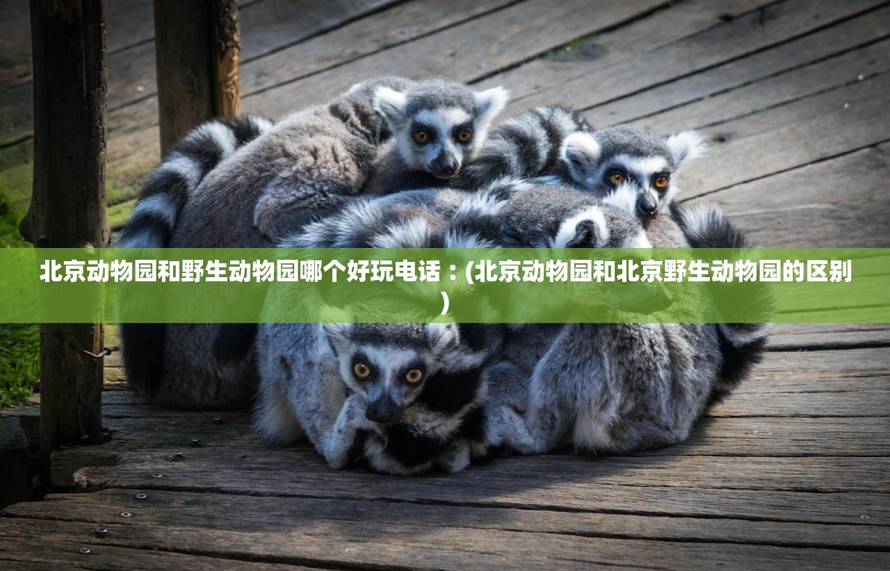北京动物园和野生动物园哪个好玩电话︰(北京动物园和北京野生动物园的区别) 北京动物园和野生动物园哪个好玩电话︰(北京动物园和北京野生动物园的区别)