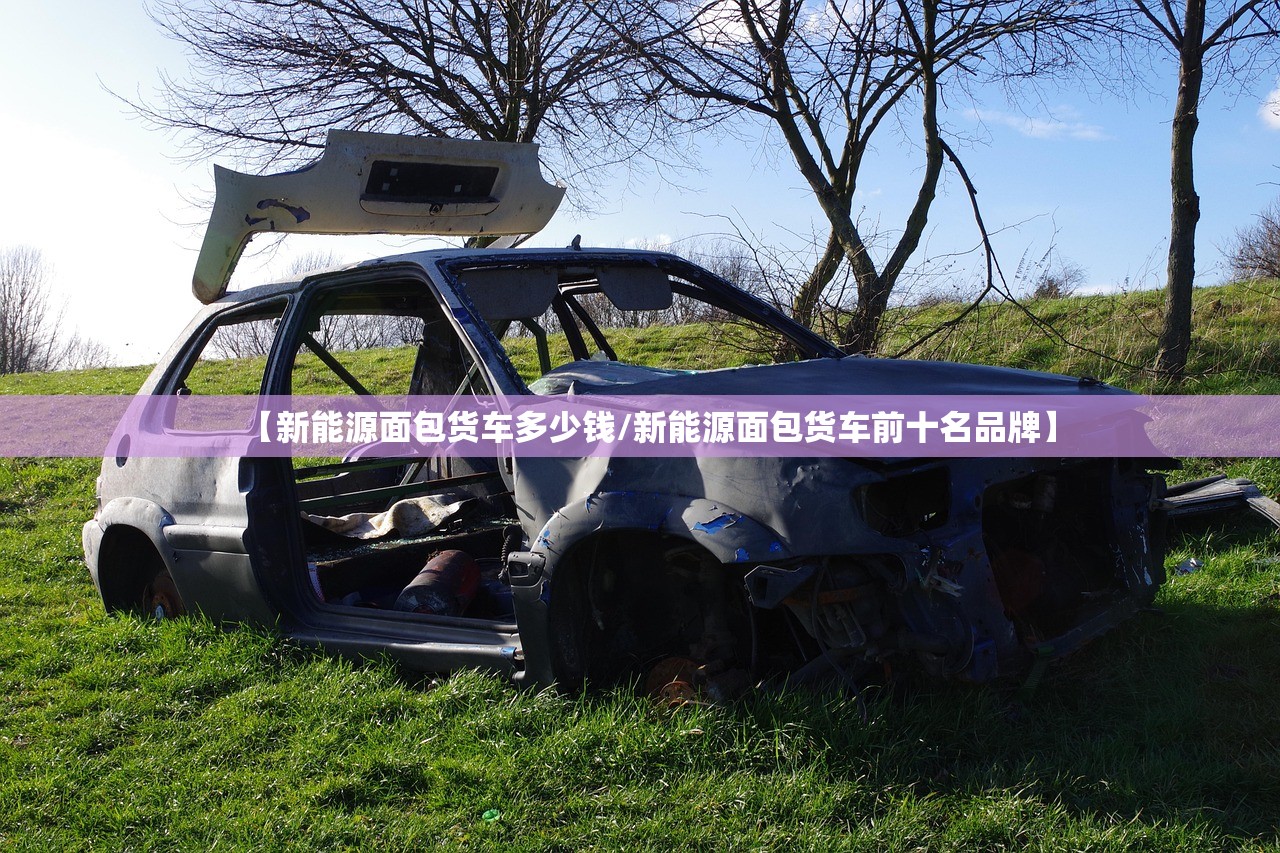 【新能源面包货车多少钱/新能源面包货车前十名品牌】