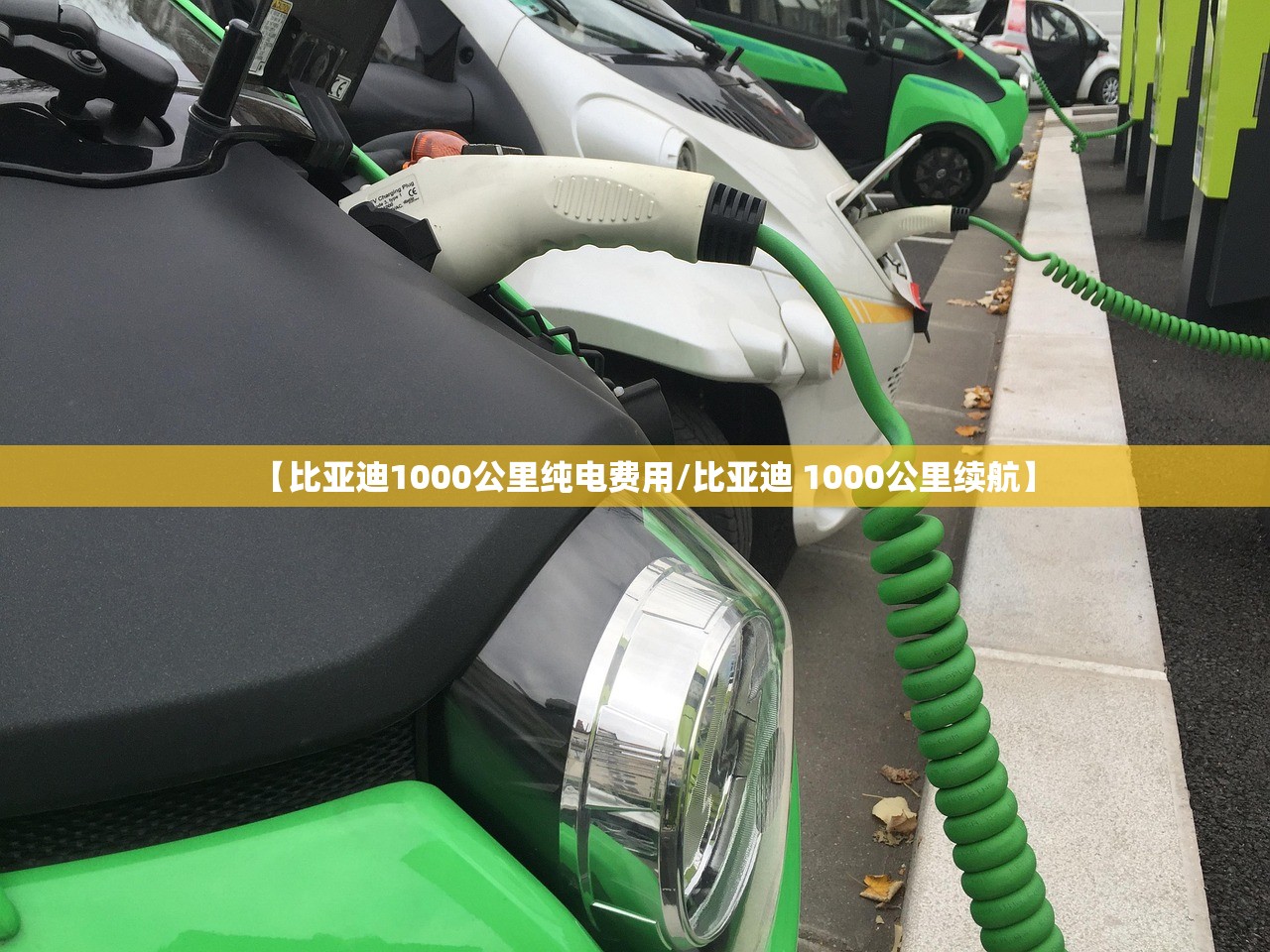 【比亚迪1000公里纯电费用/比亚迪 1000公里续航】