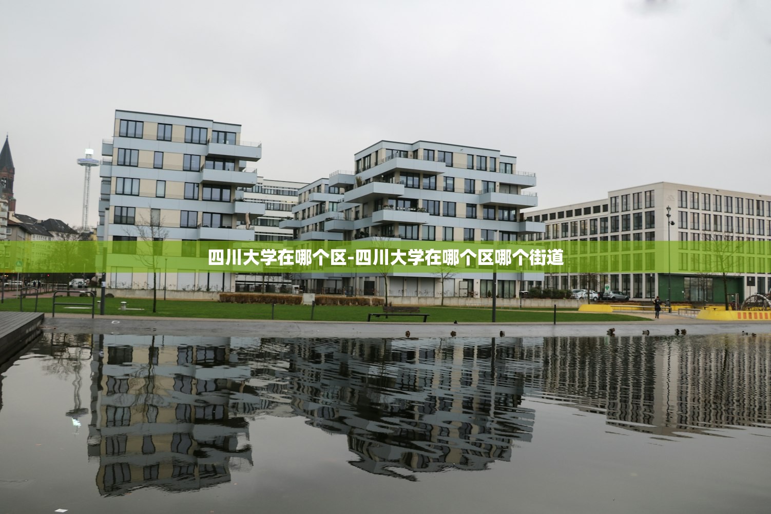四川大学在哪个区-四川大学在哪个区哪个街道