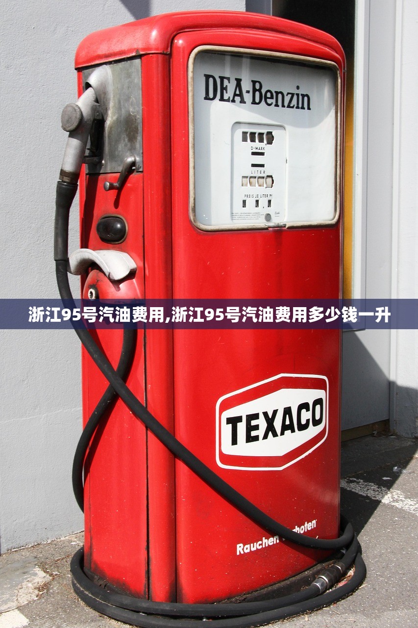 浙江95号汽油费用,浙江95号汽油费用多少钱一升 浙江95号汽油费用,浙江95号汽油费用多少钱一升