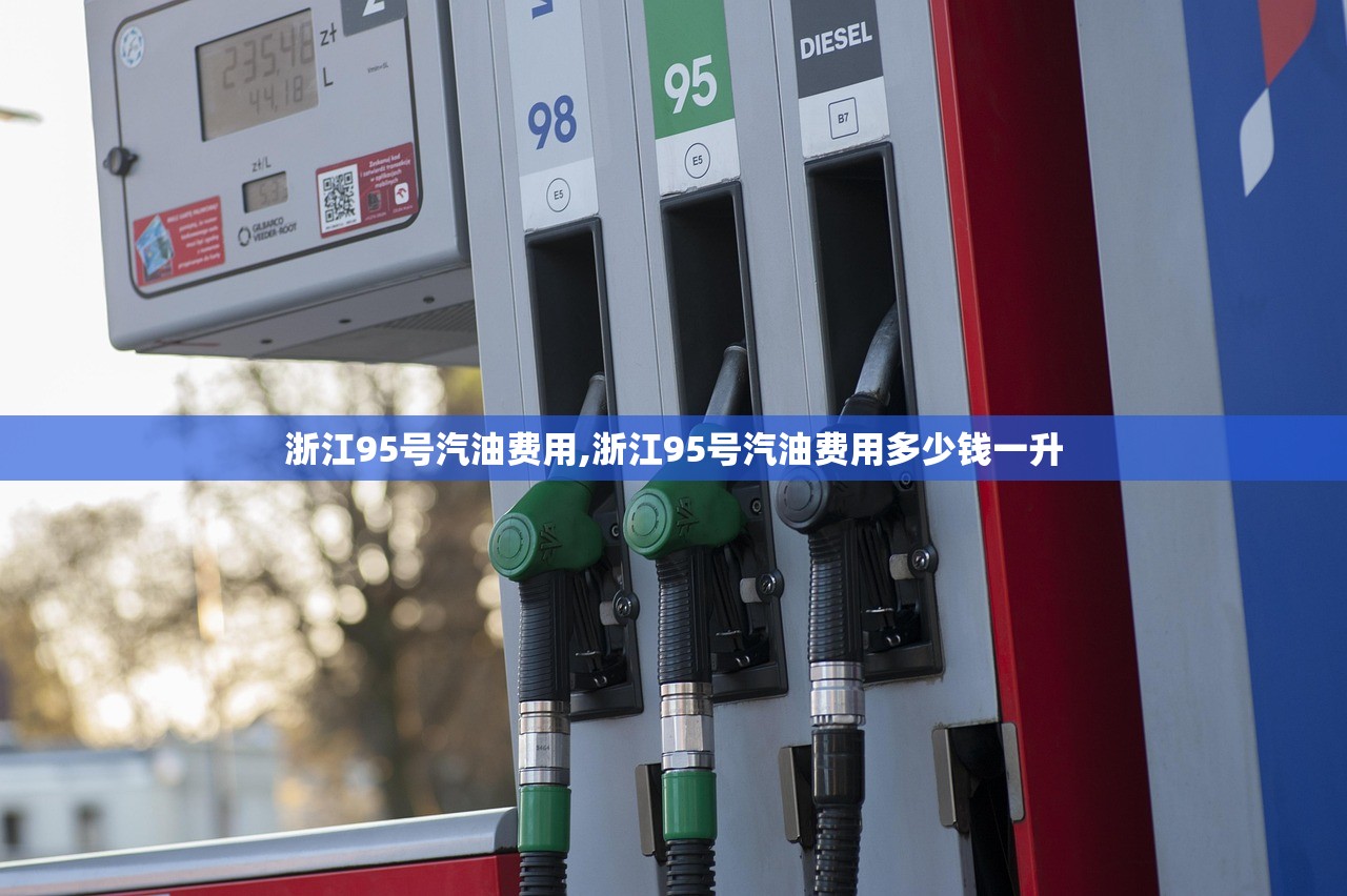 浙江95号汽油费用,浙江95号汽油费用多少钱一升 浙江95号汽油费用,浙江95号汽油费用多少钱一升