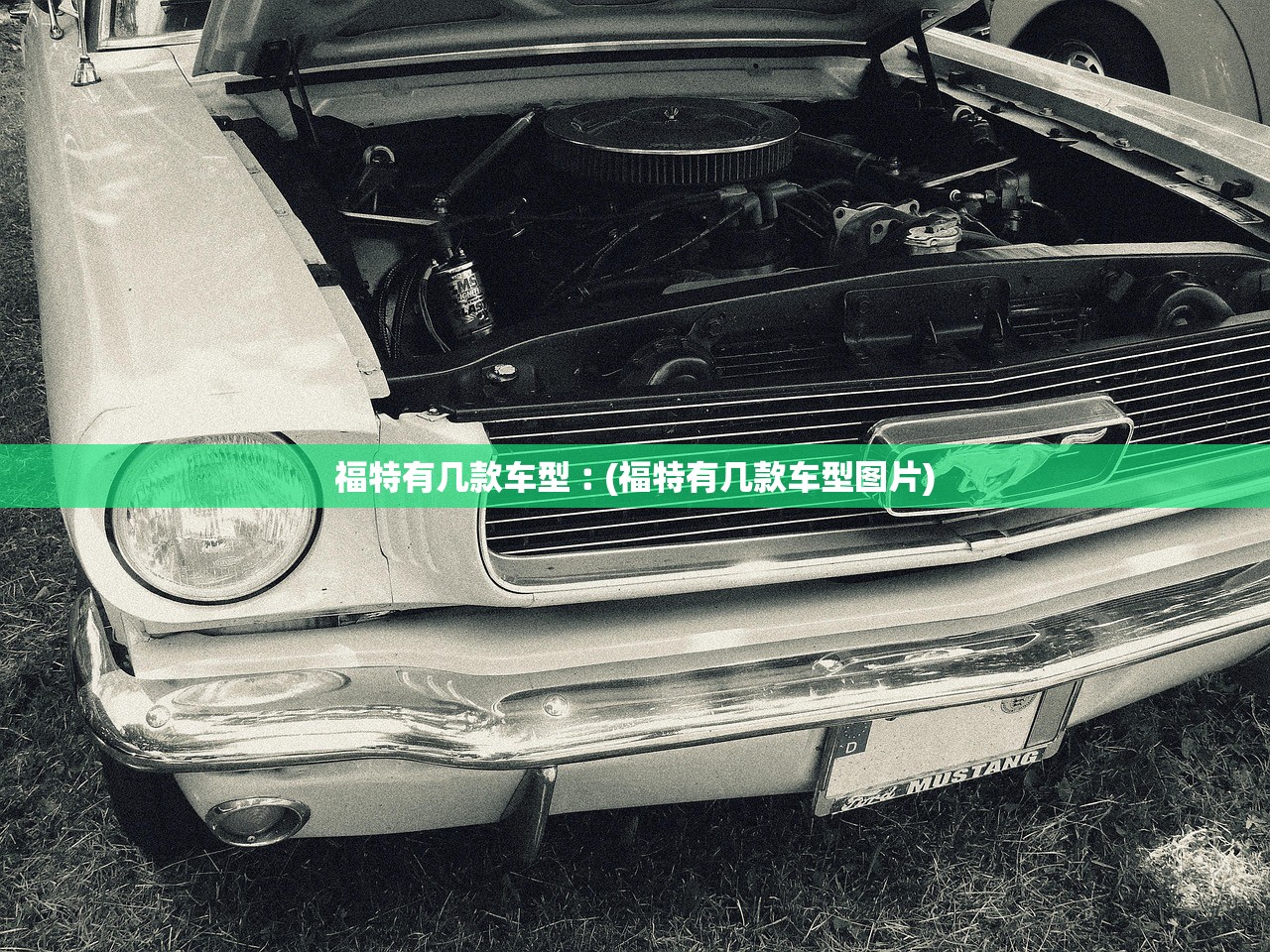 福特有几款车型︰(福特有几款车型图片)
