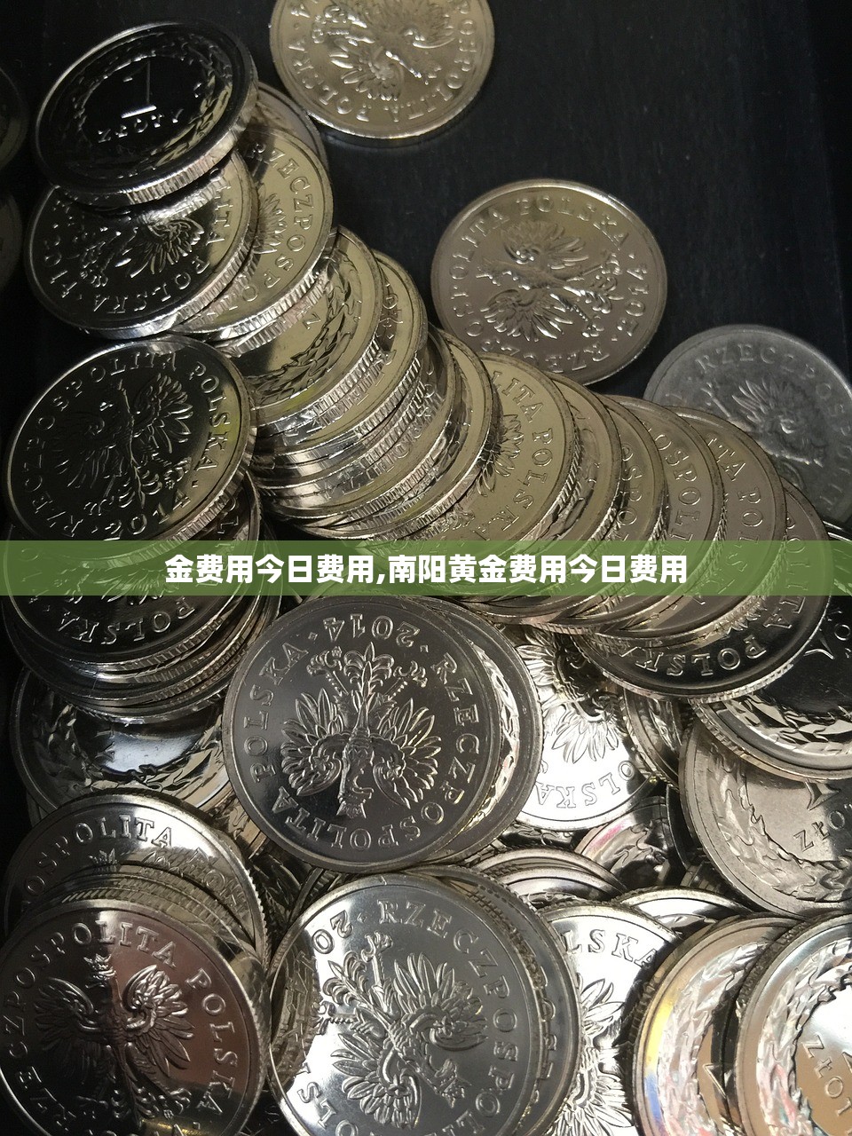 金费用今日费用,南阳黄金费用今日费用