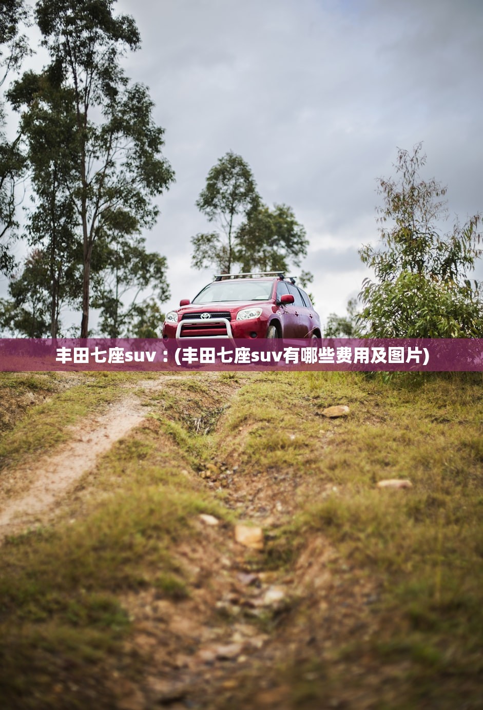 丰田七座suv︰(丰田七座suv有哪些费用及图片)