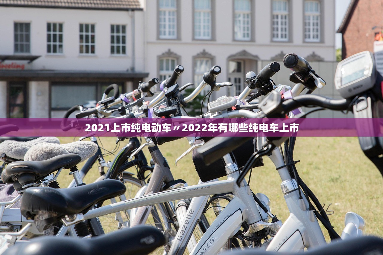 2021上市纯电动车〃2022年有哪些纯电车上市