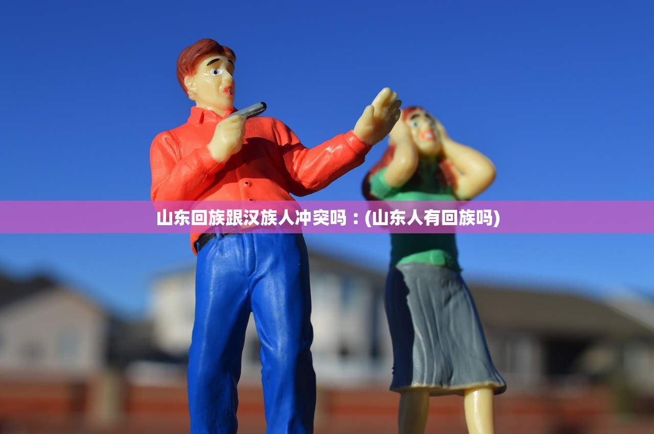 山东回族跟汉族人冲突吗︰(山东人有回族吗)