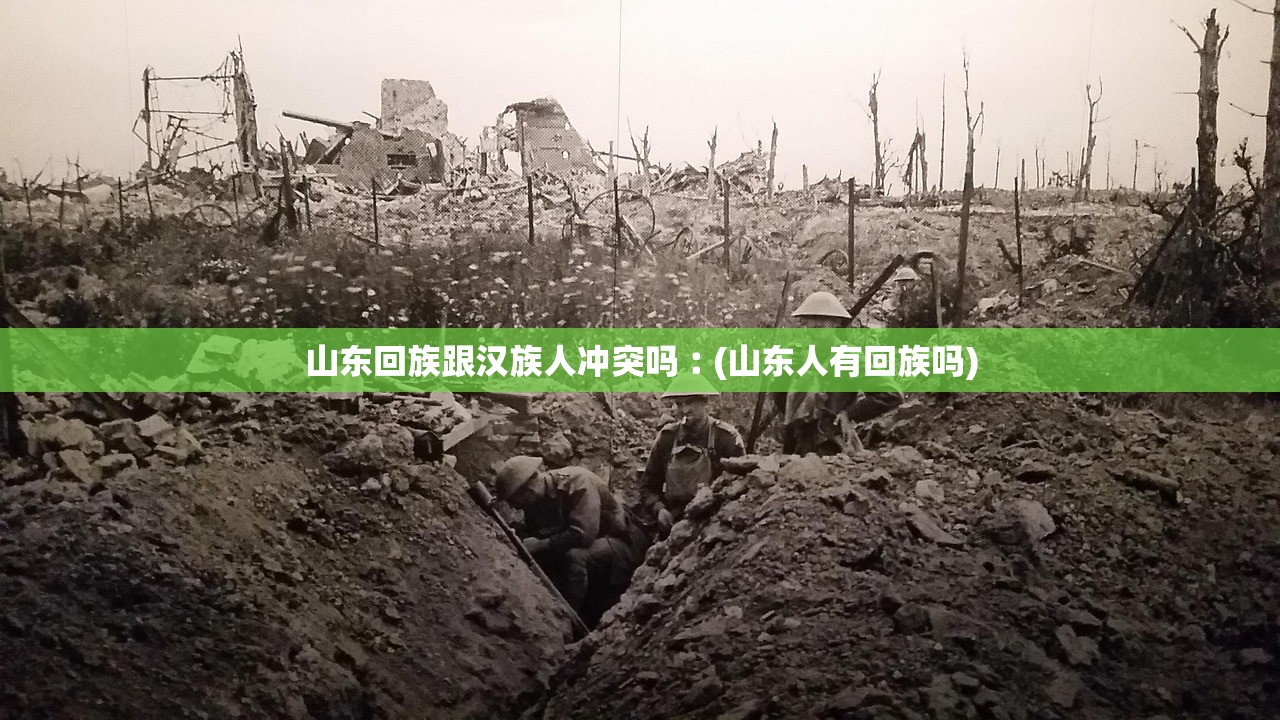 山东回族跟汉族人冲突吗︰(山东人有回族吗)