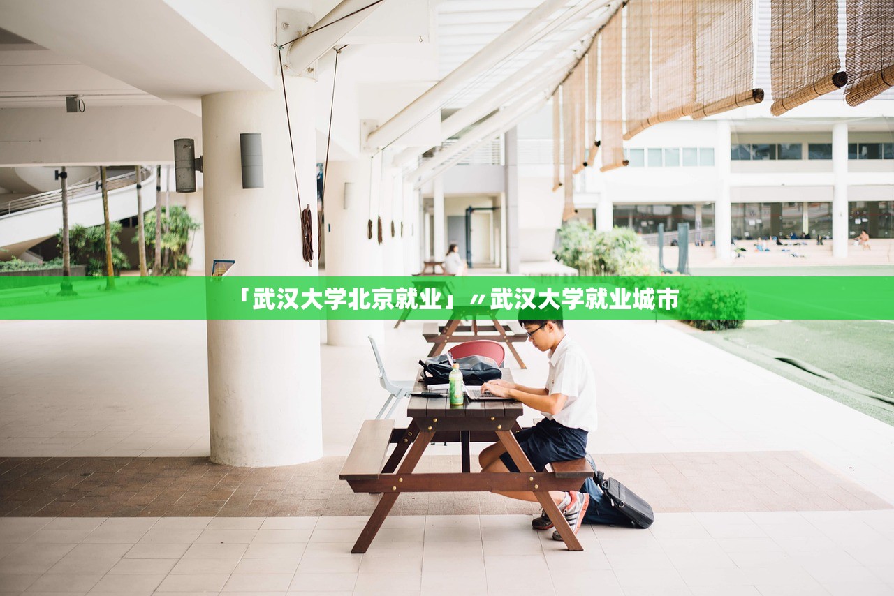 「武汉大学北京就业」〃武汉大学就业城市