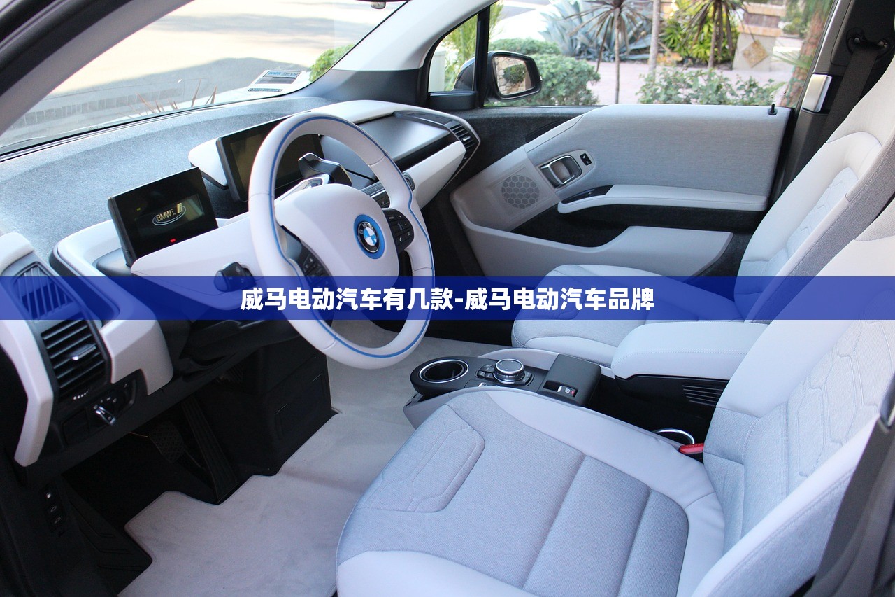 威马电动汽车有几款-威马电动汽车品牌