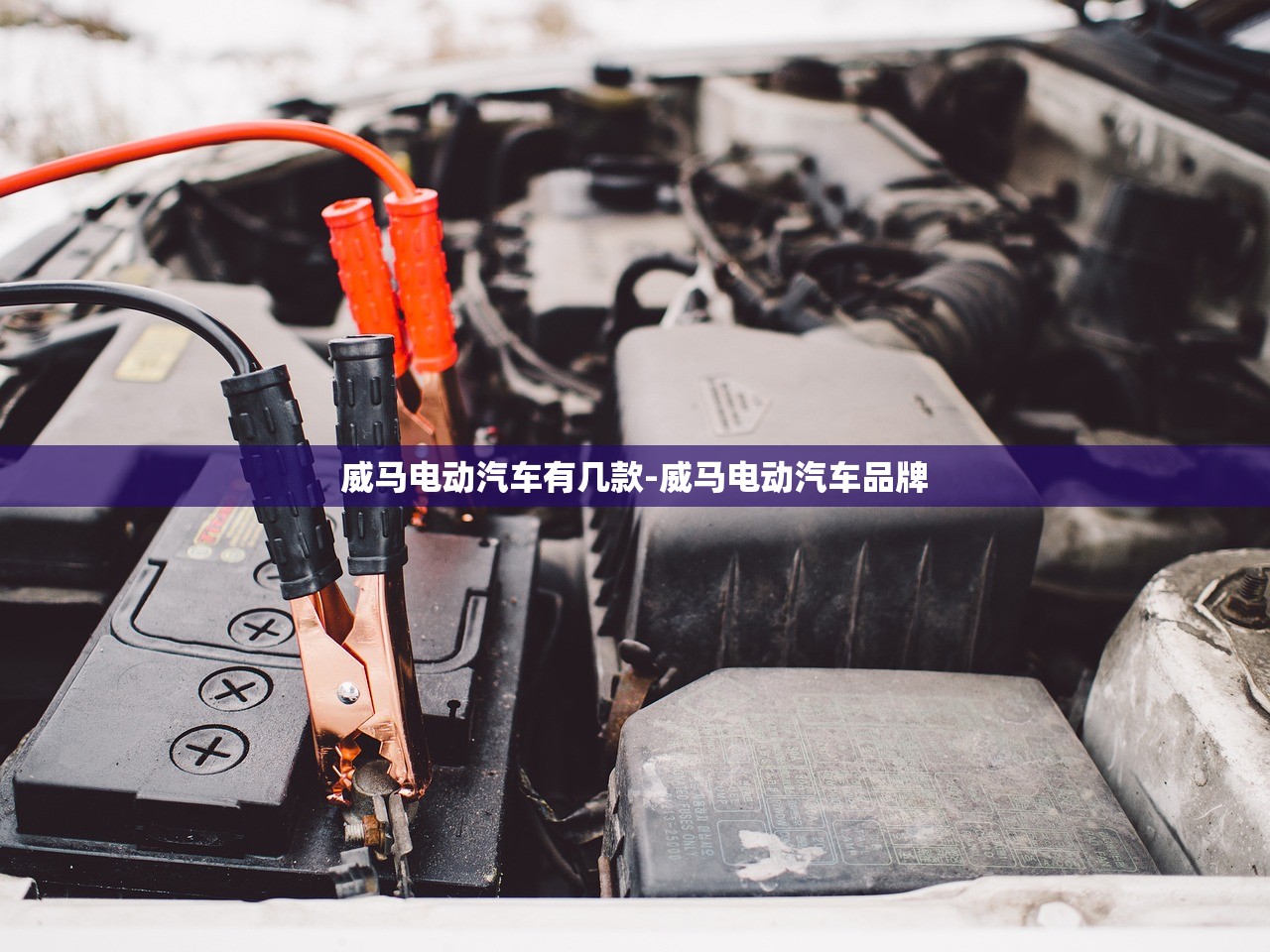 威马电动汽车有几款-威马电动汽车品牌