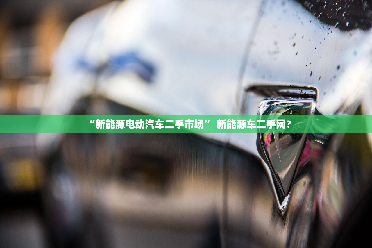 “新能源电动汽车二手市场” 新能源车二手网？