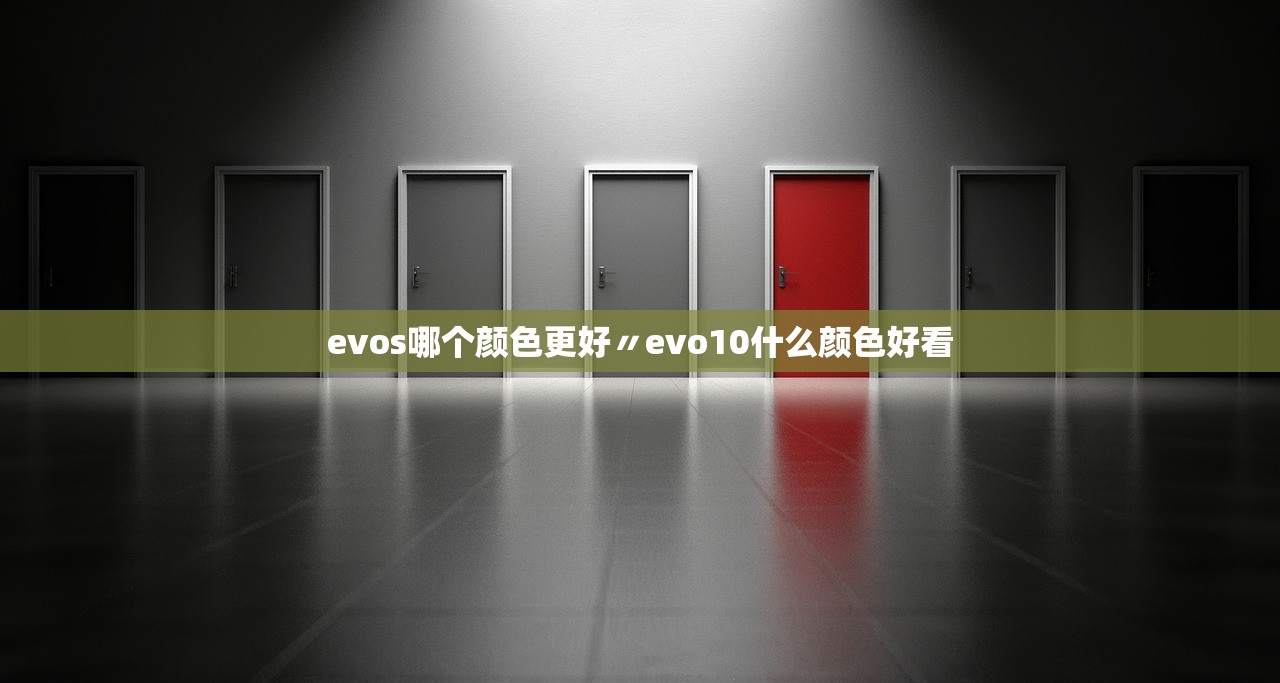 evos哪个颜色更好〃evo10什么颜色好看