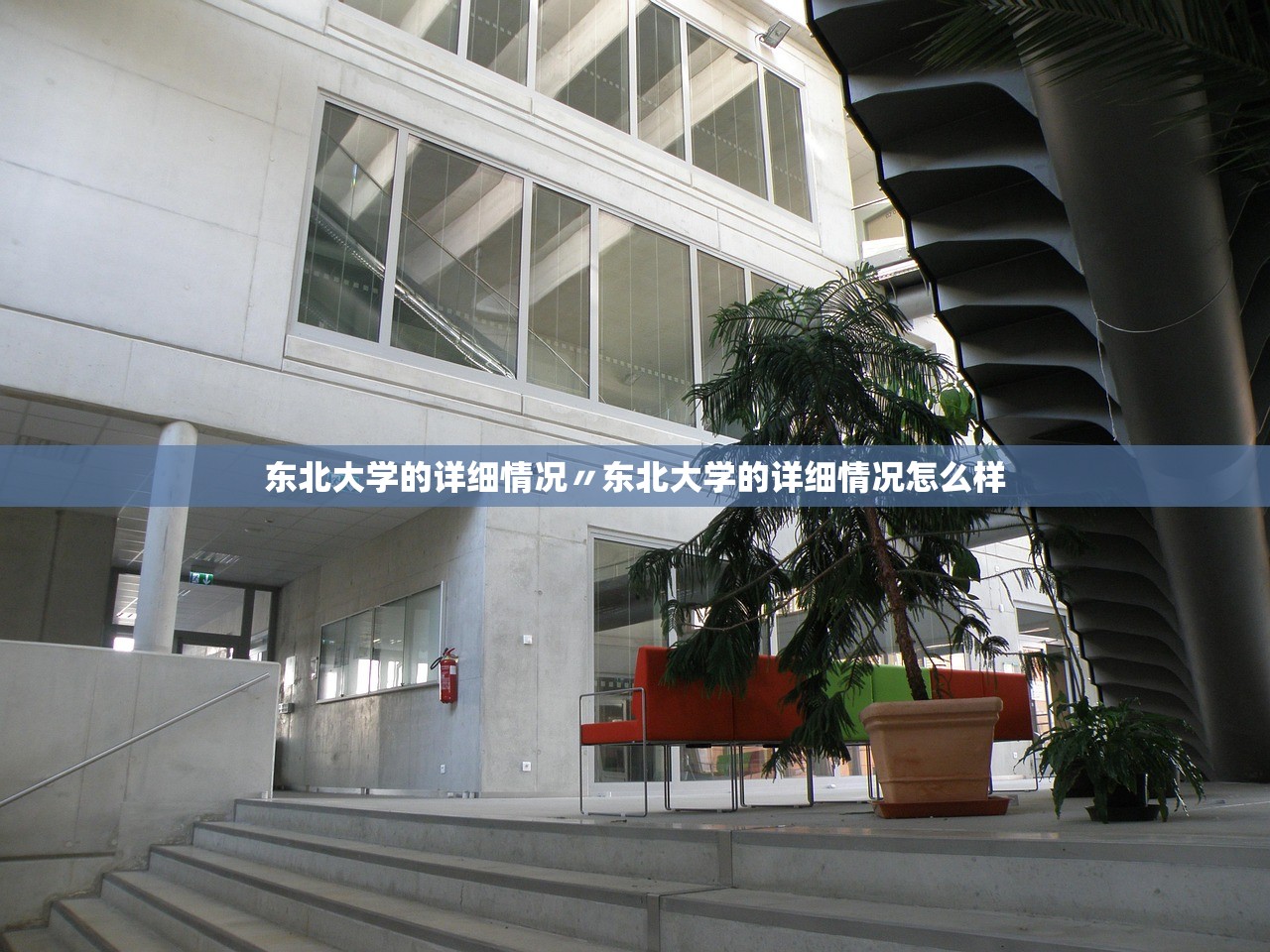 东北大学的详细情况〃东北大学的详细情况怎么样