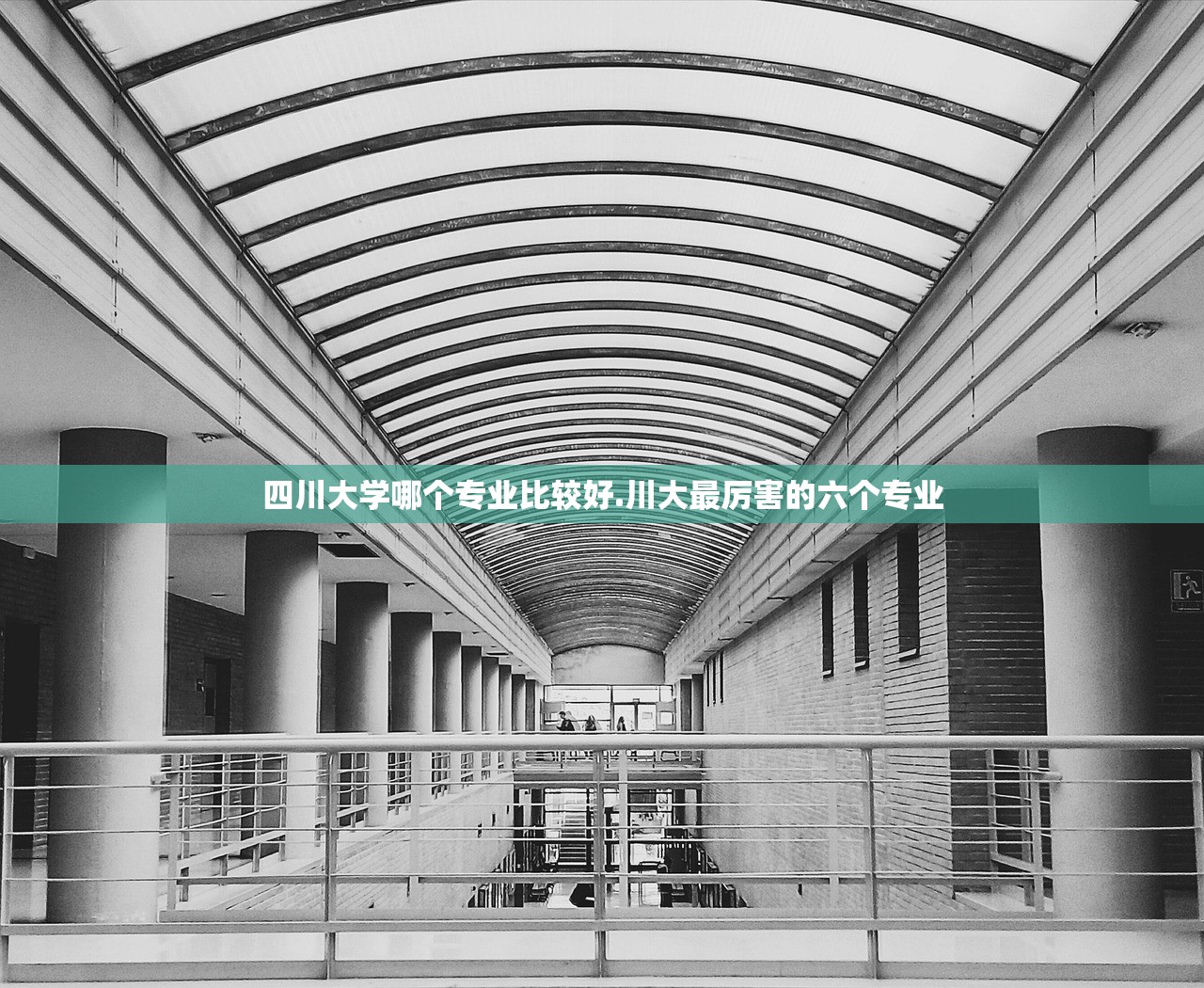 四川大学哪个专业比较好.川大最厉害的六个专业