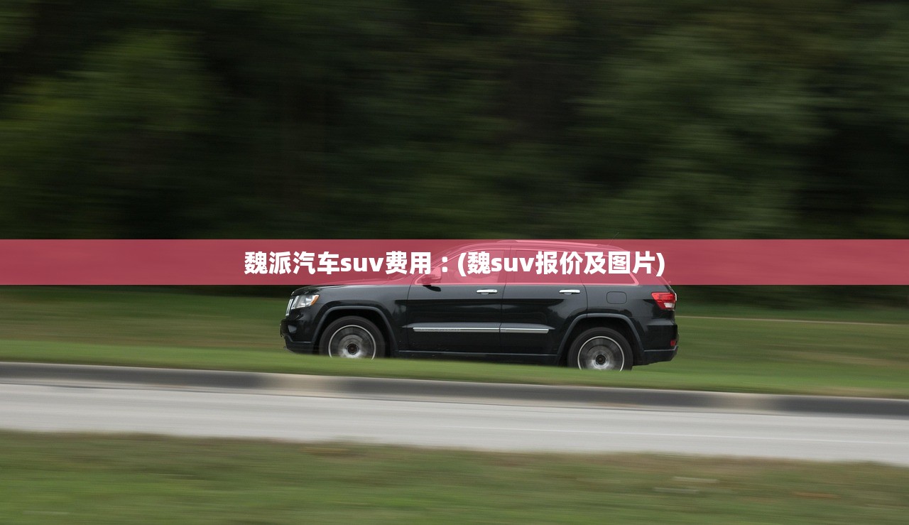 魏派汽车suv费用︰(魏suv报价及图片)