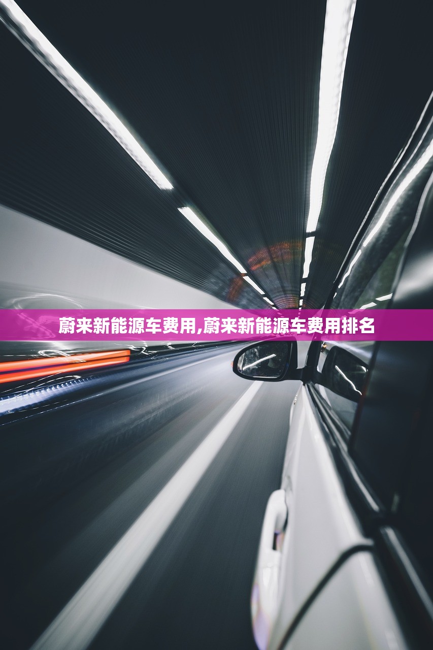 蔚来新能源车费用,蔚来新能源车费用排名 蔚来新能源车费用,蔚来新能源车费用排名