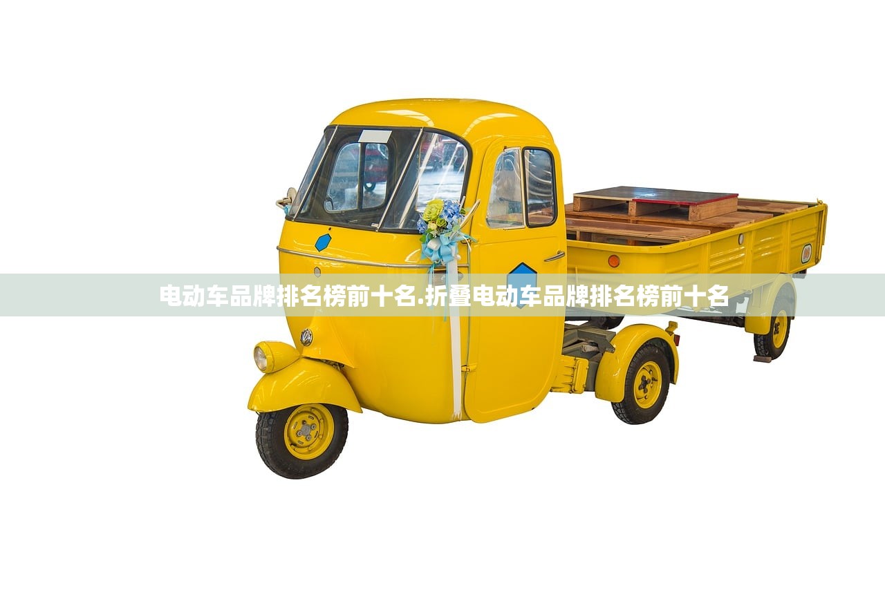 电动车品牌排名榜前十名.折叠电动车品牌排名榜前十名