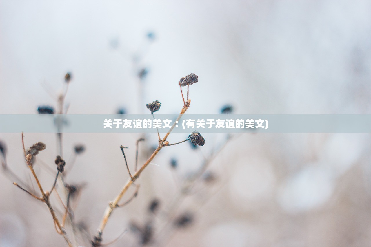 关于友谊的美文︰(有关于友谊的美文) 关于友谊的美文︰(有关于友谊的美文)