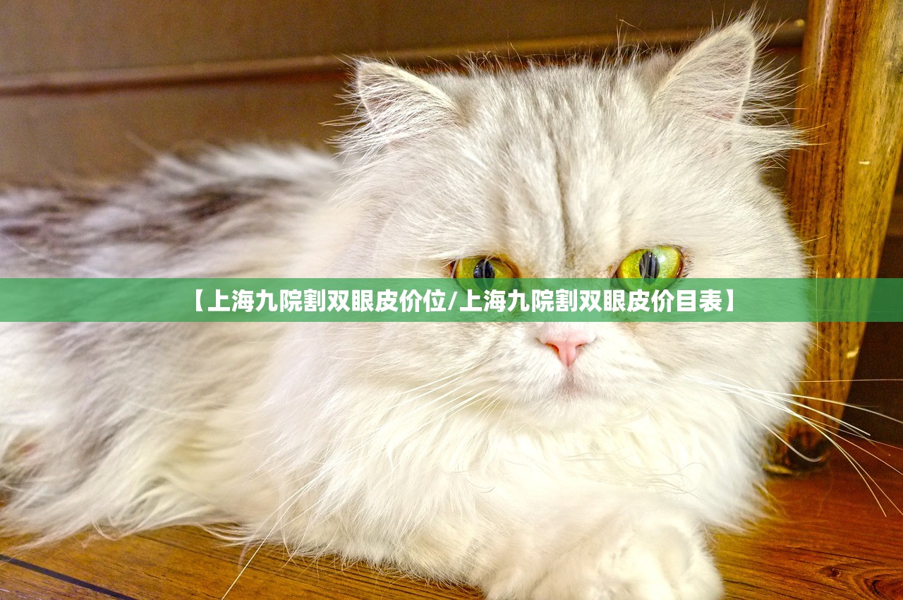 【上海九院割双眼皮价位/上海九院割双眼皮价目表】