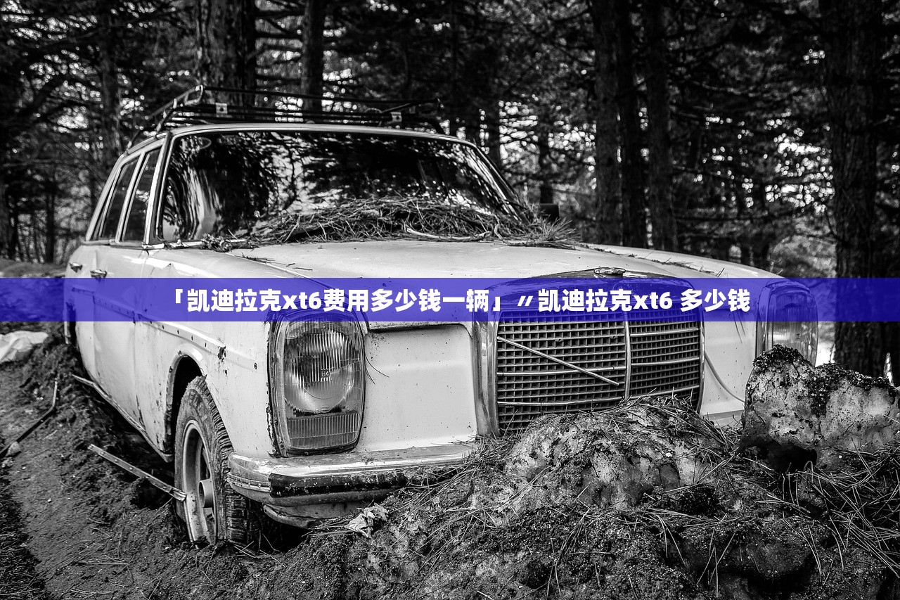 「凯迪拉克xt6费用多少钱一辆」〃凯迪拉克xt6 多少钱 「凯迪拉克xt6费用多少钱一辆」〃凯迪拉克xt6 多少钱
