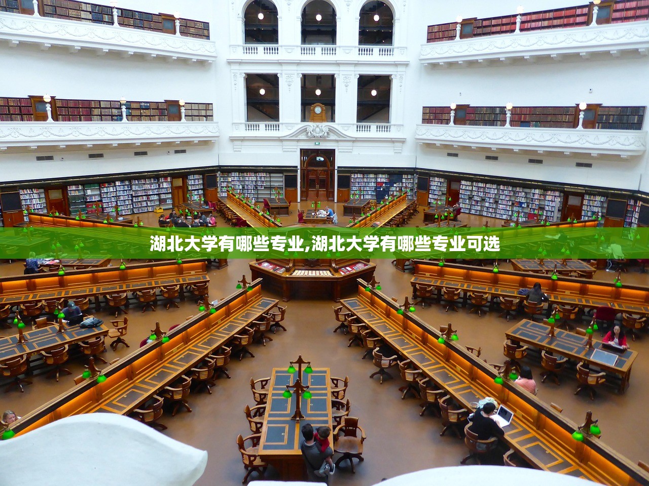 湖北大学有哪些专业,湖北大学有哪些专业可选