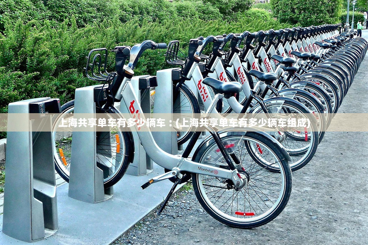 上海共享单车有多少辆车︰(上海共享单车有多少辆车组成)