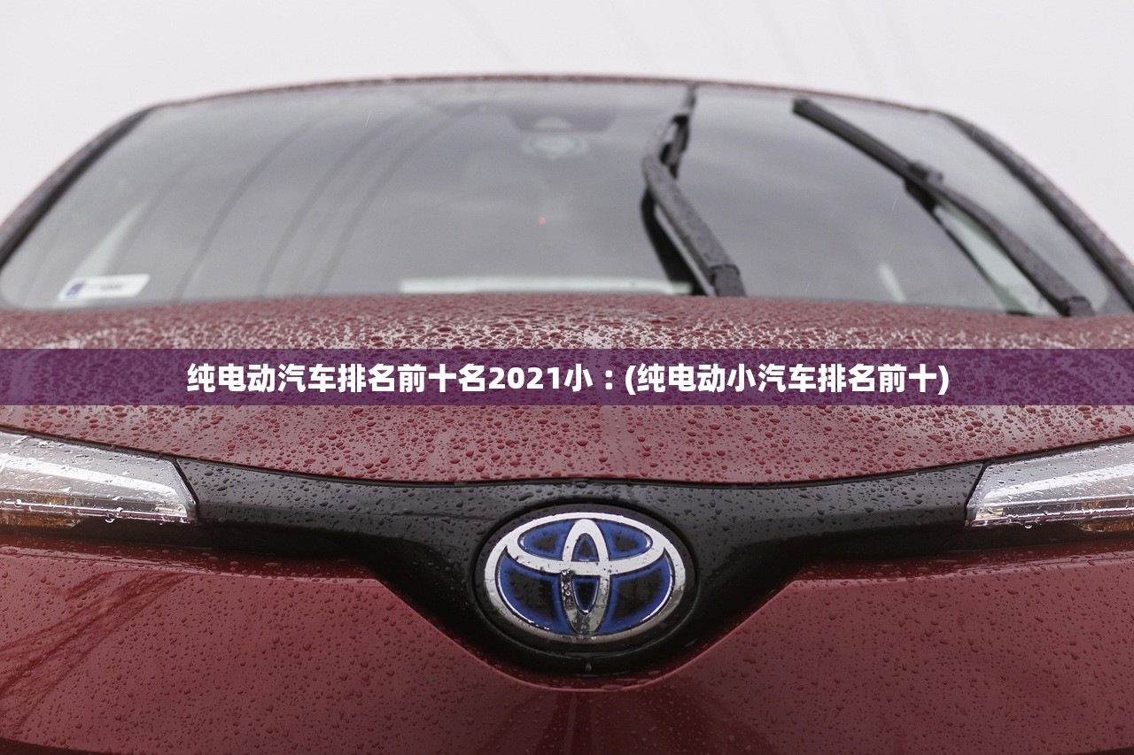 纯电动汽车排名前十名2021小︰(纯电动小汽车排名前十)