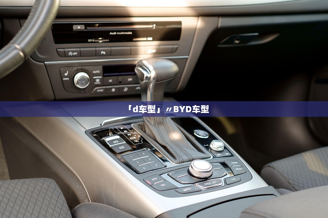 「d车型」〃BYD车型