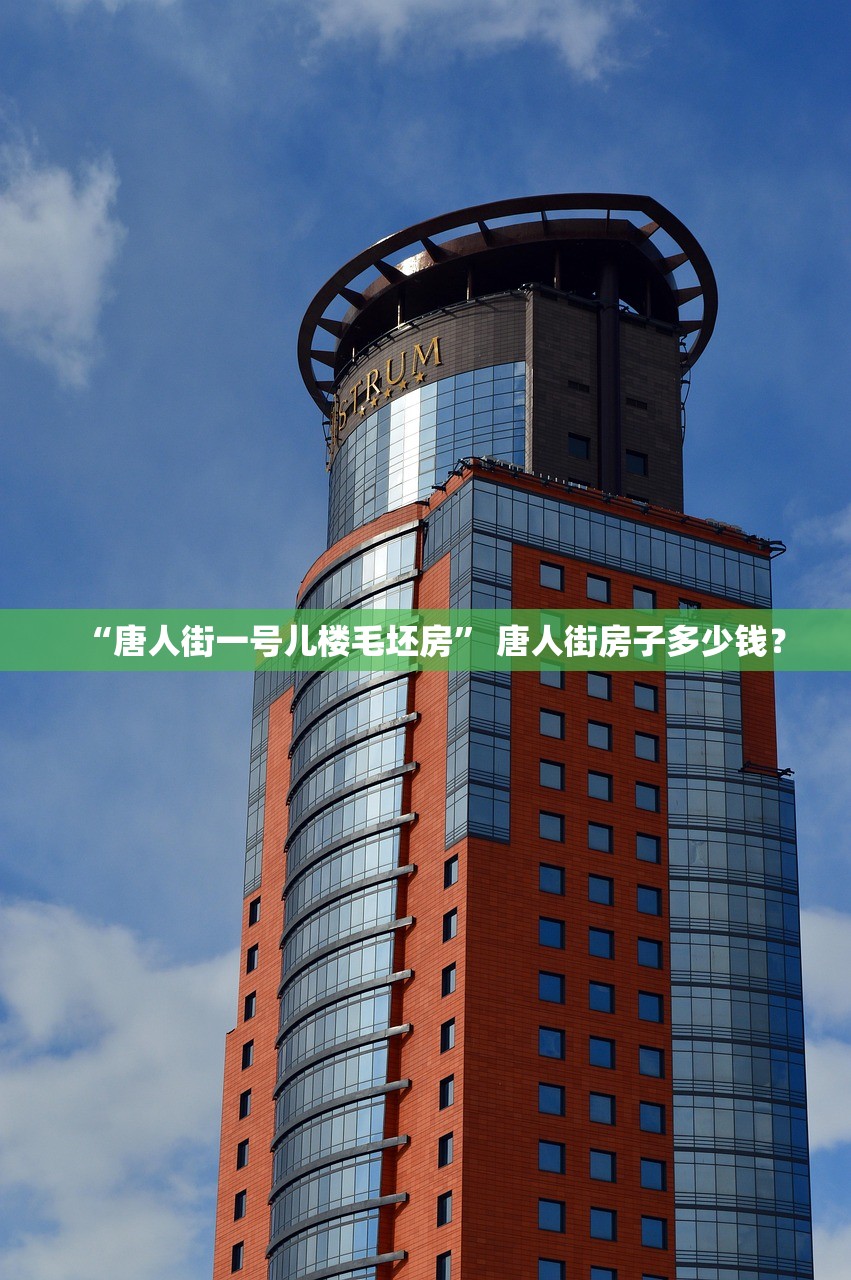 “唐人街一号儿楼毛坯房” 唐人街房子多少钱？