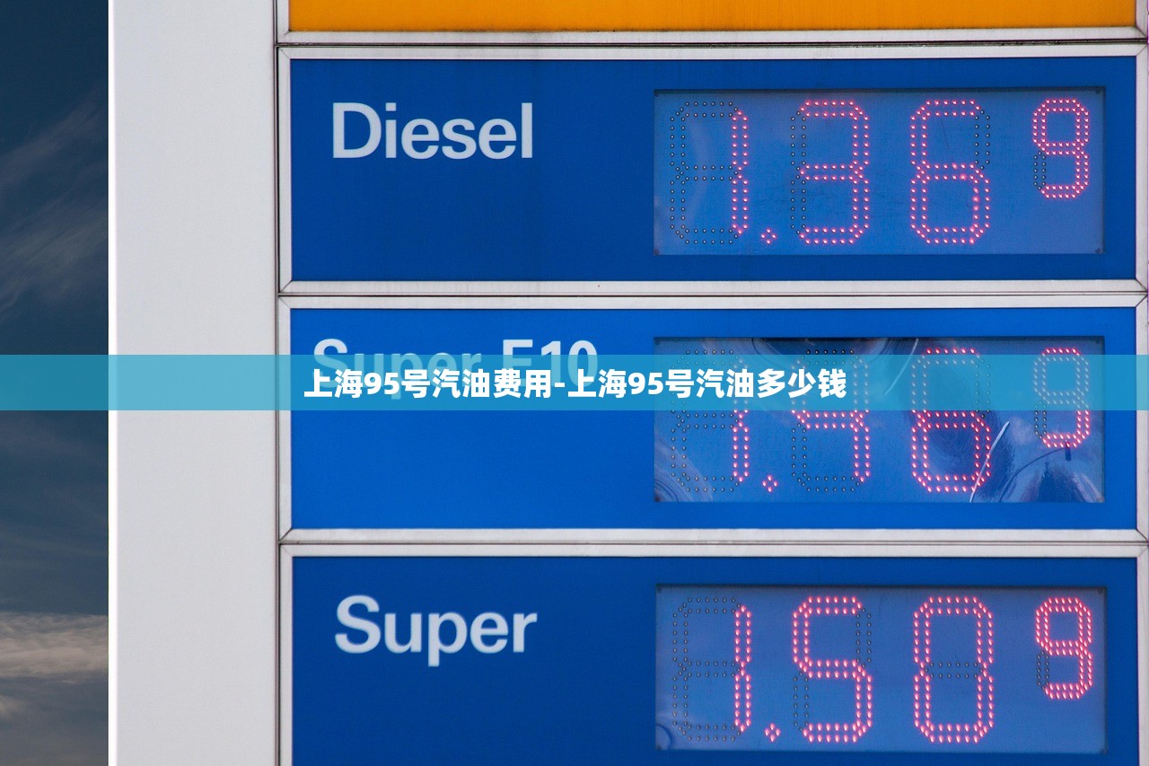 上海95号汽油费用-上海95号汽油多少钱