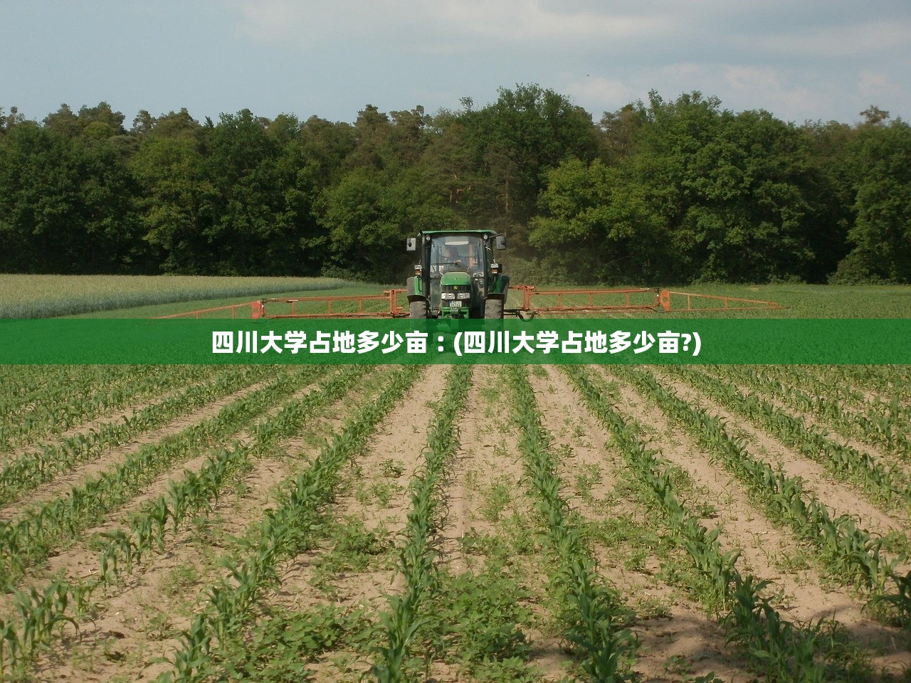四川大学占地多少亩︰(四川大学占地多少亩?)
