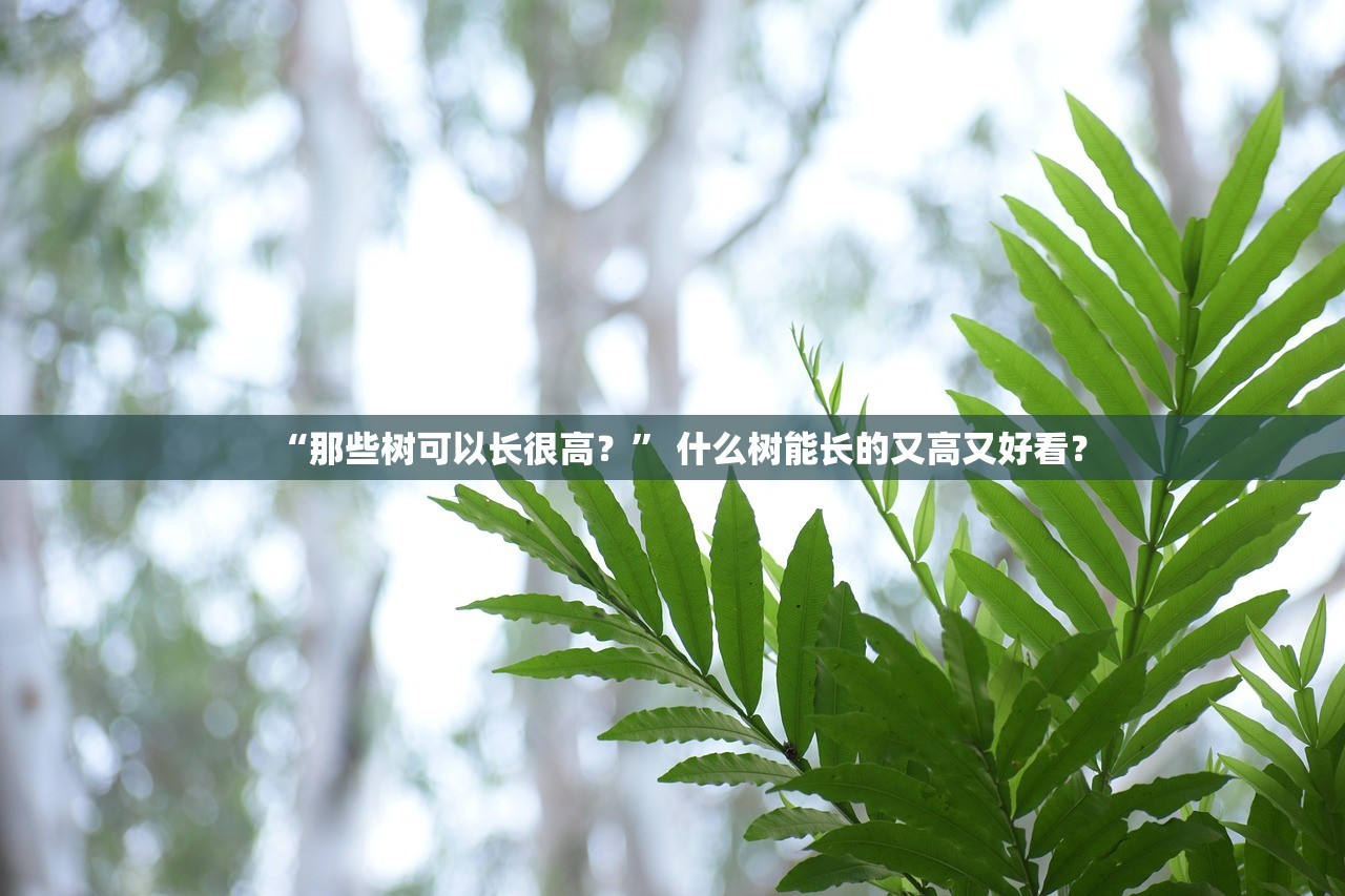 “那些树可以长很高？	” 什么树能长的又高又好看？